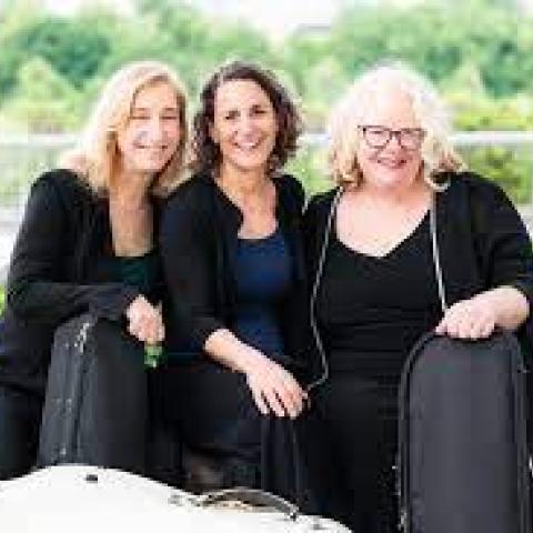 Vivaldi Project